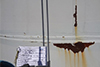 ant-irust-treatment